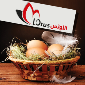اللوتس